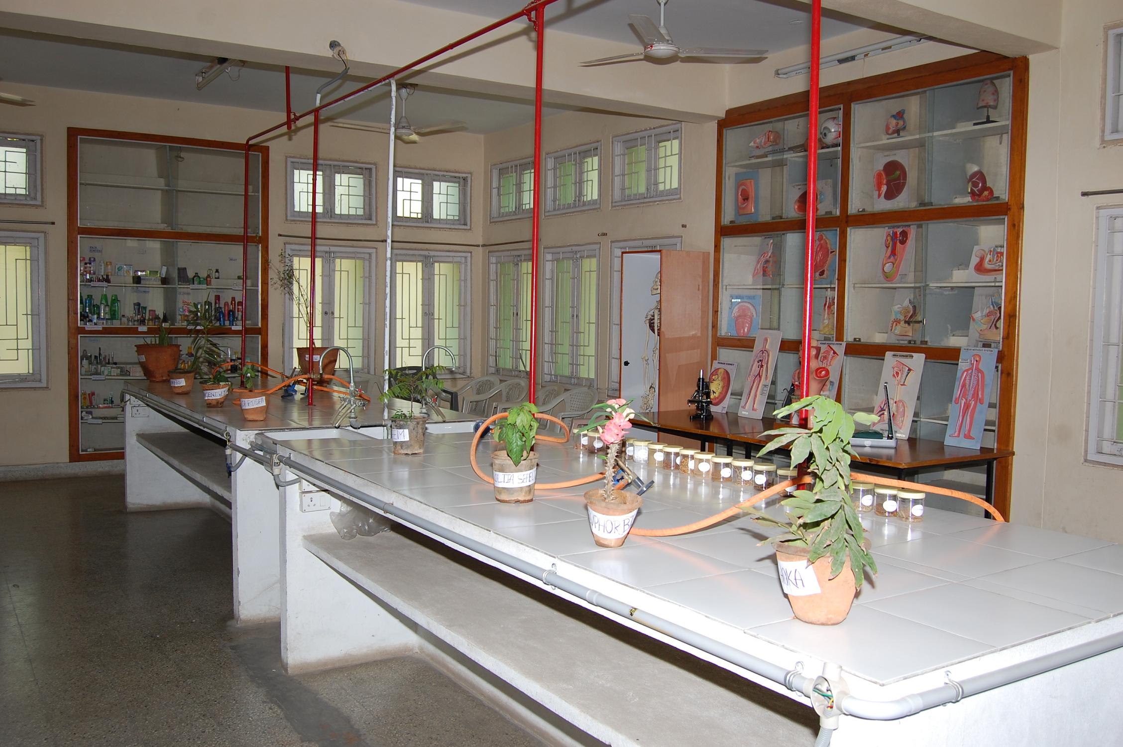   Drug Museum